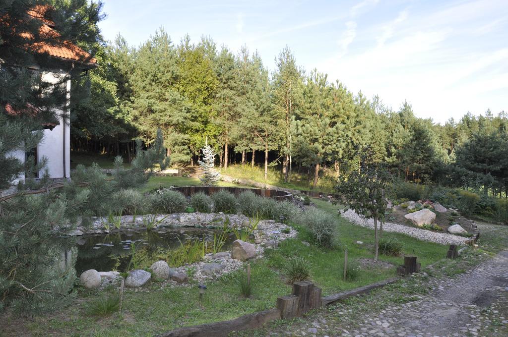 Lesna Polana Villa Stare Jablonki Exterior photo
